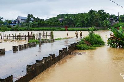 Mưa lớn, hơn 120ha lúa mùa của xã Phú Lạc bị ngập sâu
