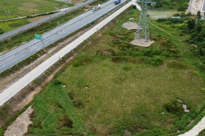 Nghệ An: Lên phương án xử lý hơn 2ha đất lúa bỏ hoang cạnh cao tốc