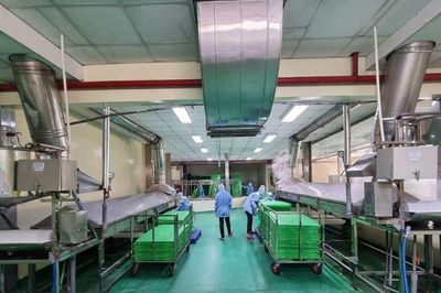 TP.HCM: Làng nghề bánh tráng Phú Hòa Đông kết hợp tinh hoa truyền thống với ứng dụng công nghệ hiện đại