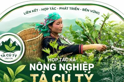 Đánh thức 'vàng xanh' giữa đại ngàn Tây Bắc