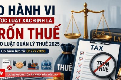 10 hành vi bị coi là trốn thuế từ ngày 01/7/2026