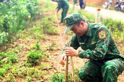Tuổi trẻ Đồn Biên phòng Cốc Pàng triển khai công trình 'Đường cây biên giới'