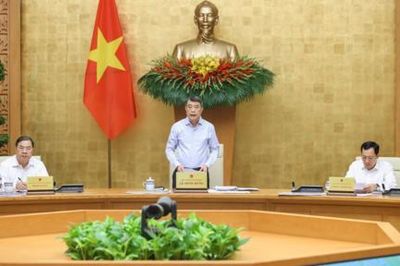 Hạn chế tối đa việc ban hành nhiều nghị định hướng dẫn cho cùng một nội dung luật