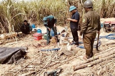 Đắk Lắk: Sớm kiểm tra, xử lý vi phạm các tổ chức, cá nhân vụ đãi vàng trái phép