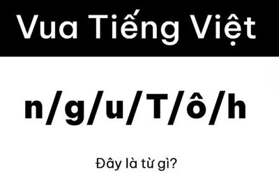 Ai mới là 'vua tiếng Việt' trước câu đố cực khó này?