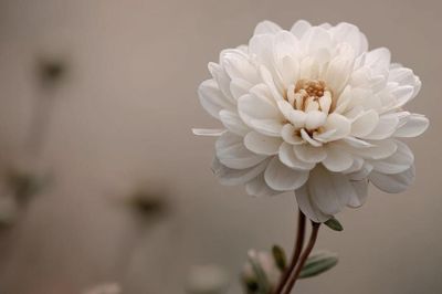 4 tháng sinh Âm lịch có lộc tích tài, càng về trung niên ví càng dày