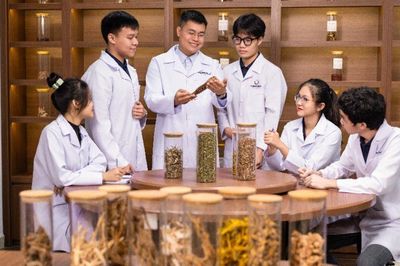 Triển khai kế hoạch phát triển y học cổ truyền theo kết luận của Tổng Bí thư, Chủ tịch nước Tô Lâm