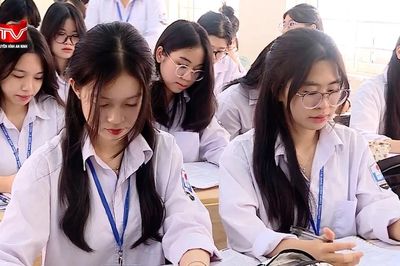 Sắp xếp cơ sở giáo dục trước 30/8/2026