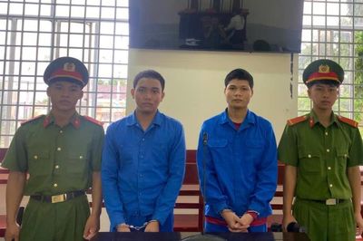 Lãnh án nặng vì lôi kéo thiếu niên 'đập đá'