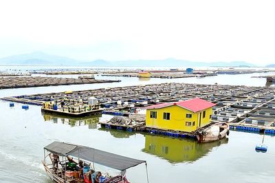 Khẩn cấp ứng phó bão Bavi