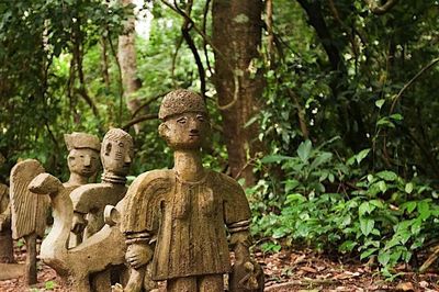 Osun-Osogbo: Khu rừng thiêng được bảo vệ trăm năm vì một lời hứa