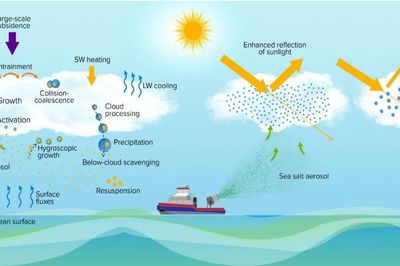 Xịt khí aerosol vào mây có thể giảm tác động của El Nino?