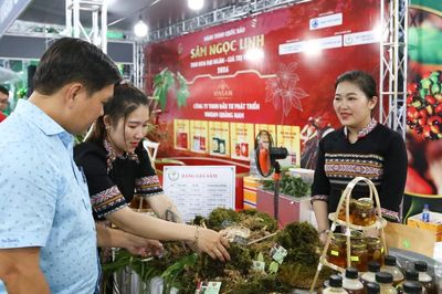 Du khách chen chân đi chợ sâm tiền tỷ bên Cầu Rồng