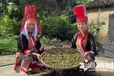 Không còn chờ hỗ trợ, người Dao tự mở đường thoát nghèo