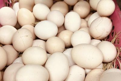 Chuyên gia đưa ra lời khuyên nên ăn bao nhiêu quả trứng mỗi tuần