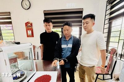 Lào Cai: Triệt phá đường dây ma túy liên tỉnh, thu giữ 11.600 viên ma túy