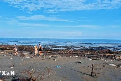 Một tuần sau bão số 1, bãi biển Trà Cổ ở Quảng Ninh ngập ngụa rác