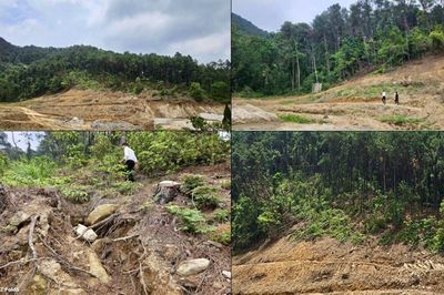 Hà Nội: Triển khai giải pháp khẩn cấp bảo vệ Đền Sóc trước nguy cơ sạt lở
