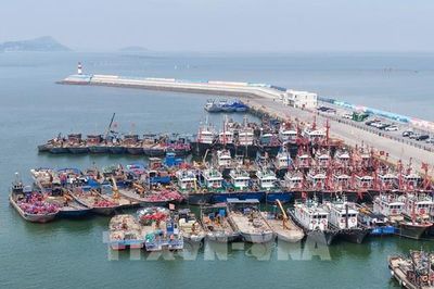 Bão BAVI áp sát, Trung Quốc phát cảnh báo mưa bão ở mức cao nhất