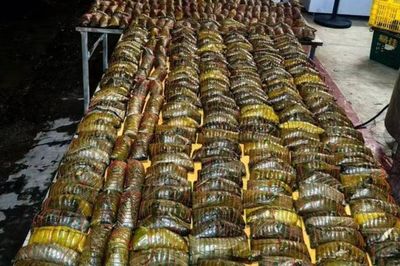 Người phụ nữ thức xuyên đêm nấu hơn 2000 chiếc bánh ú gửi vùng lũ, nói một câu gây xúc động