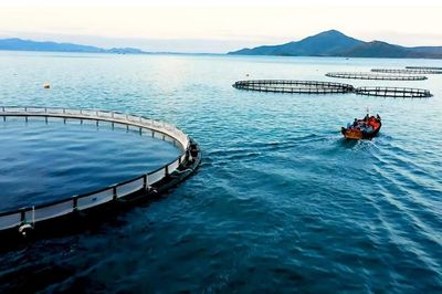 Gỡ điểm nghẽn thể chế để nuôi biển công nghiệp bứt phá
