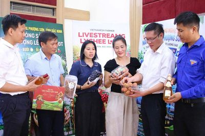 Quy hoạch chung đô thị Bắc Ninh: Đánh thức tiềm năng vùng cây ăn quả trọng điểm