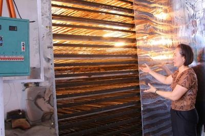 Chứng nhận lại sản phẩm OCOP: Động lực nâng giá trị sản phẩm