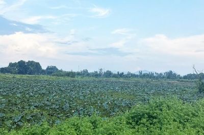 Bắc Ninh: Phường Đa Mai kiểm điểm trách nhiệm sơ suất trong phát hành văn bản