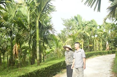 Kinh tế nông nghiệp từ sản xuất xanh