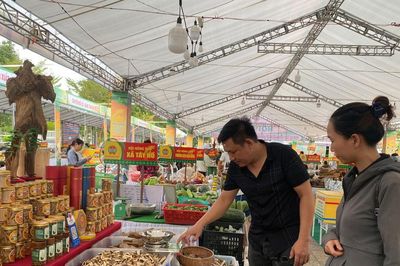 Đưa nông sản Đà Nẵng vươn xa