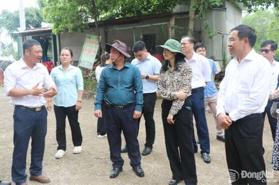 Kết nối giao thông để phát triển xã miền núi Thanh Sơn