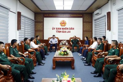 Phó Chủ tịch UBND tỉnh Lâm Hải Giang tiếp đoàn cán bộ Sư đoàn 3