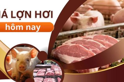 Giá lợn hơi ngày 11/7: Cả nước tiếp tục đi ngang, thị trường trầm lắng
