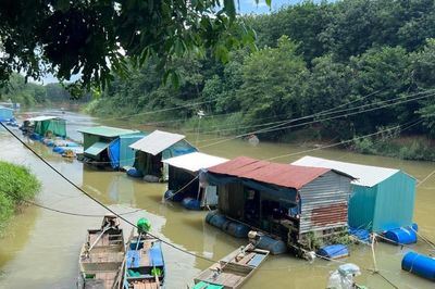 'Sâm nước' sông La Ngà