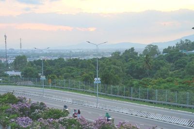 Ðồi bằng lăng Lầu Ông Hoàng vào mùa tím nhớ