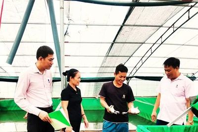 Mở lối cho người lầm lỡ