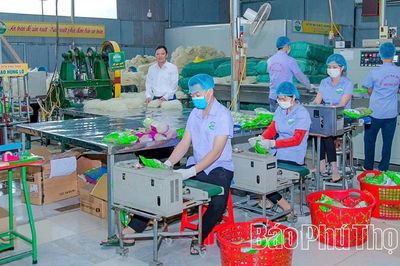 Nâng cao chất lượng sản phẩm OCOP gắn với bảo vệ môi trường