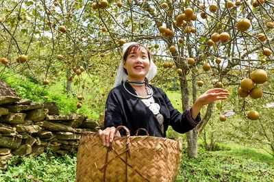 Thức quà của núi