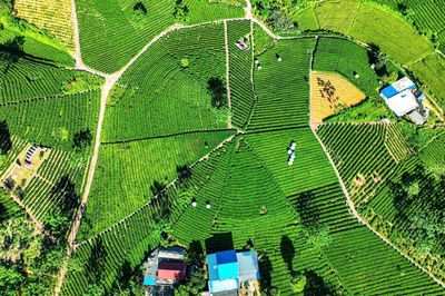 Từ giá trị bản địa đến kinh tế số