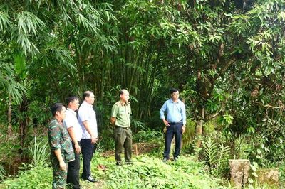 Khảo sát thực địa vị trí có thông tin là nơi chôn cất các liệt sĩ Trung đoàn Pháo binh 28