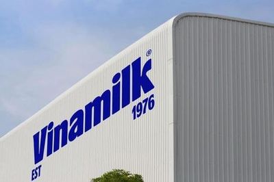 SCIC thu hơn 8.100 tỷ đồng cổ tức, Vinamilk giữ vai trò đóng góp chủ lực