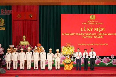 Bình yên không đến từ sự ngẫu nhiên