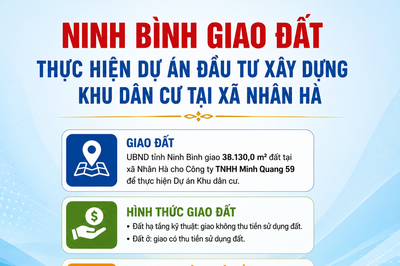 Ninh Bình giao hơn 3,8 ha đất thực hiện khu dân cư tại xã Nhân Hà