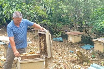 Chuyện người nông dân bền bỉ vượt khó 'vun đắp' khát vọng làm giàu