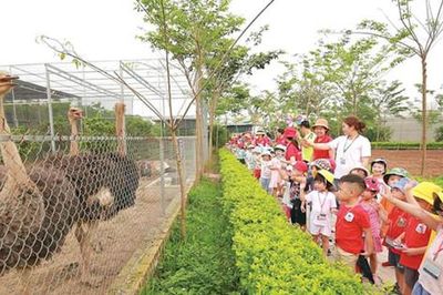 Nông nghiệp đa giá trị gắn với tái cấu trúc đô thị