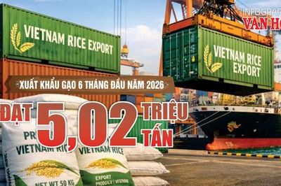 Xuất khẩu gạo Việt Nam 6 tháng đầu năm 2026 đạt 5,02 triệu tấn, thu về 2,38 tỉ USD