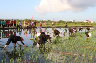 Lễ hội Xuống đồng ở Quảng Ninh: Gìn giữ di sản, gửi gắm ước vọng quốc thái dân an