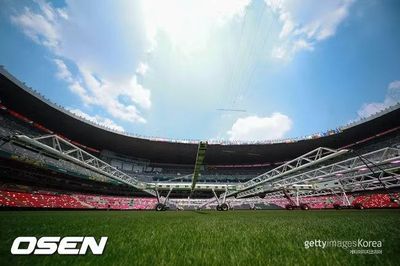 Mảnh đất cỏ tự nhiên của sân từ trận chung kết 'World Cup 2026' được bán với giá 450 đô la Mỹ