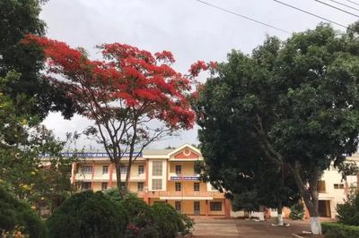 Thông tin thí sinh tại Đắk Lắk dùng điện thoại giải đề thi là sai sự thật