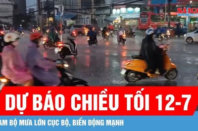 Dự báo chiều tối 12-7, Nam bộ mưa lớn cục bộ, biển động mạnh